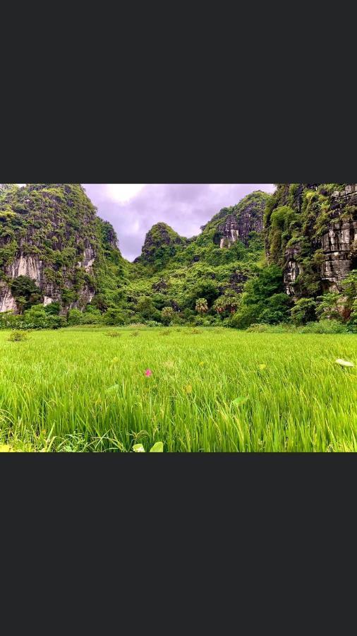 Tam Coc Scenery Homestay Van Lam Kültér fotó